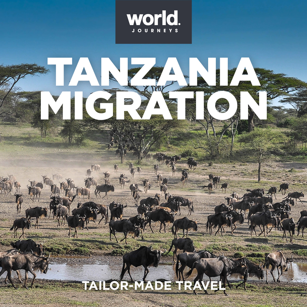 Tile - Tanzania Migration (1)