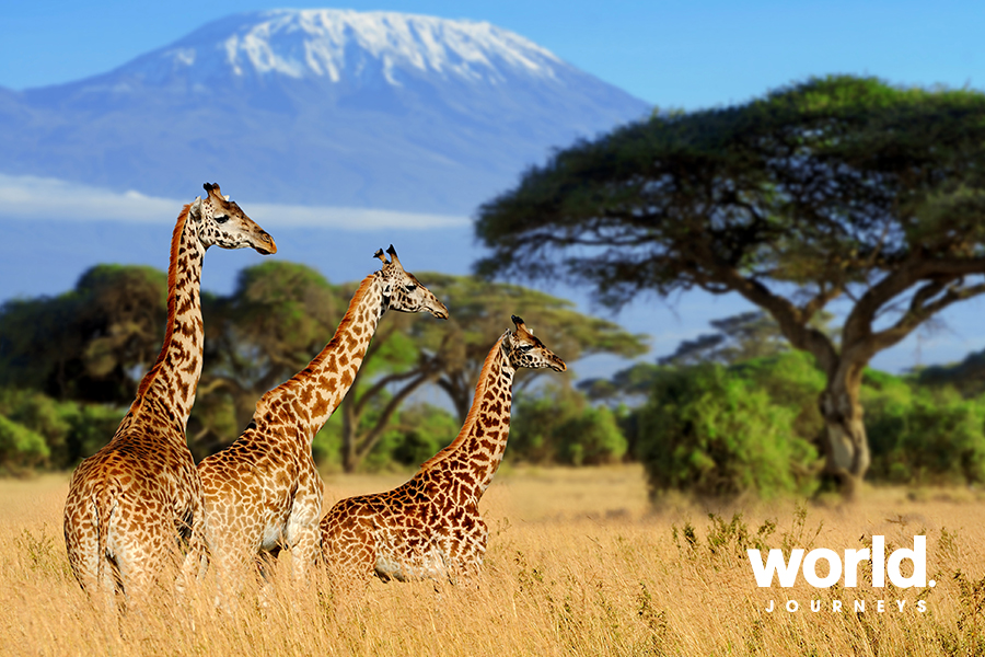 World-Journeys-Best-of-East-Africa-0-8443 World-Journeys-Best-of-East-Africa-0-8443